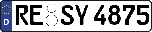 RE-SY4875