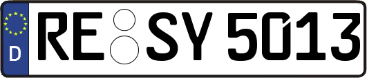 RE-SY5013