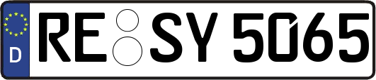 RE-SY5065