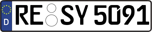 RE-SY5091