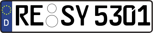 RE-SY5301