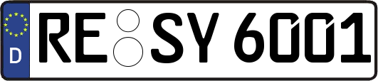 RE-SY6001