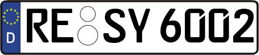 RE-SY6002