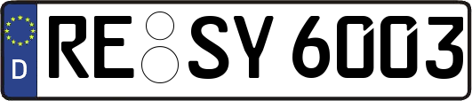 RE-SY6003