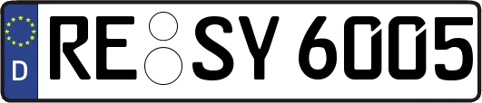 RE-SY6005