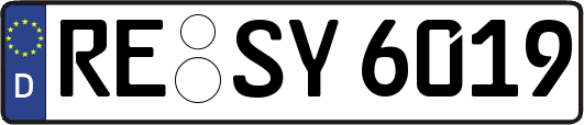 RE-SY6019