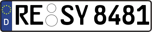 RE-SY8481