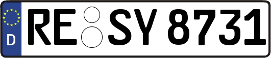 RE-SY8731