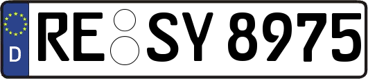 RE-SY8975