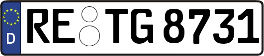 RE-TG8731