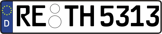 RE-TH5313