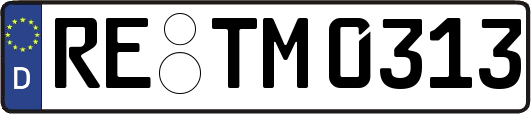 RE-TM0313
