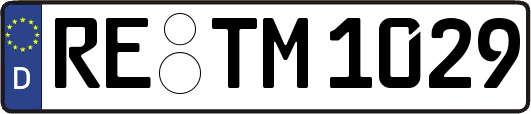 RE-TM1029