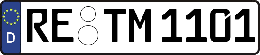 RE-TM1101