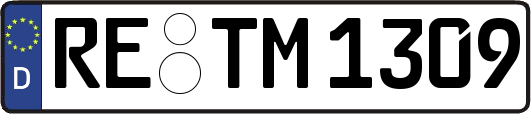 RE-TM1309