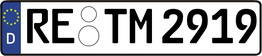 RE-TM2919