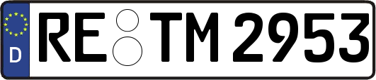 RE-TM2953