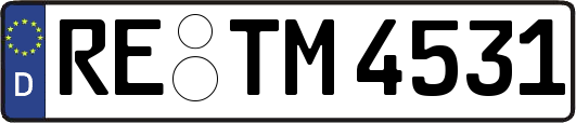 RE-TM4531