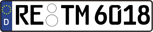 RE-TM6018