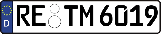 RE-TM6019