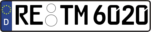 RE-TM6020