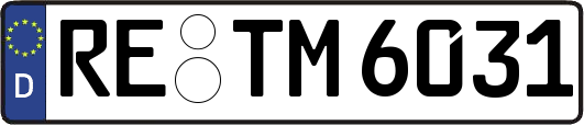 RE-TM6031