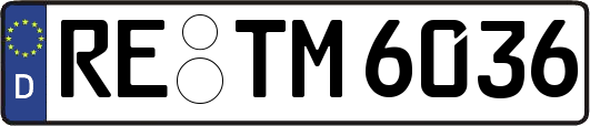 RE-TM6036