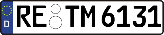 RE-TM6131