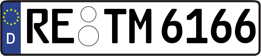 RE-TM6166