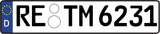 RE-TM6231