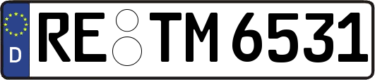 RE-TM6531
