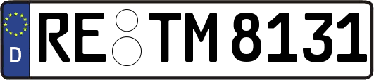RE-TM8131