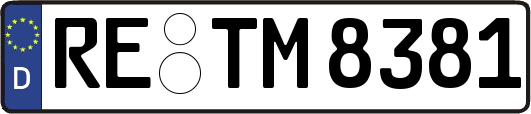 RE-TM8381