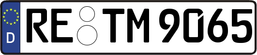RE-TM9065