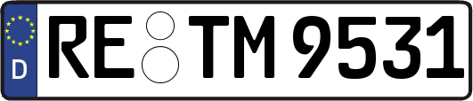 RE-TM9531
