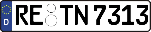RE-TN7313