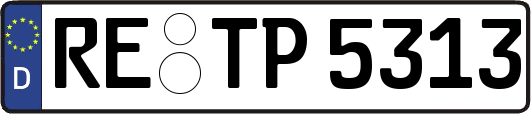 RE-TP5313