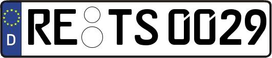 RE-TS0029