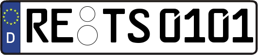 RE-TS0101