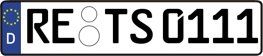 RE-TS0111