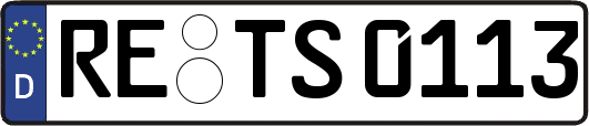 RE-TS0113