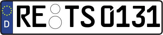 RE-TS0131
