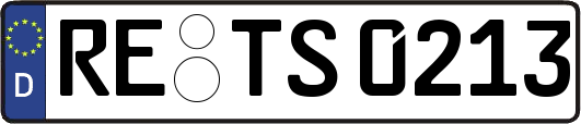 RE-TS0213