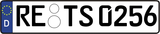 RE-TS0256