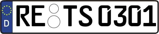 RE-TS0301
