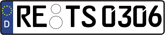 RE-TS0306