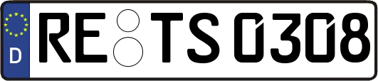 RE-TS0308