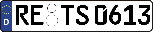 RE-TS0613