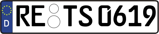 RE-TS0619