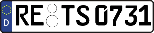 RE-TS0731